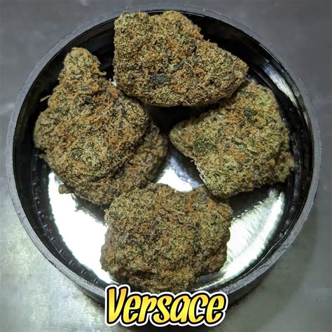 versace kush|Versace Marijuana Strain Information & Reviews .